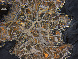 Analyse métallographique (sous microscope) - © S. Bauvais - CNRS