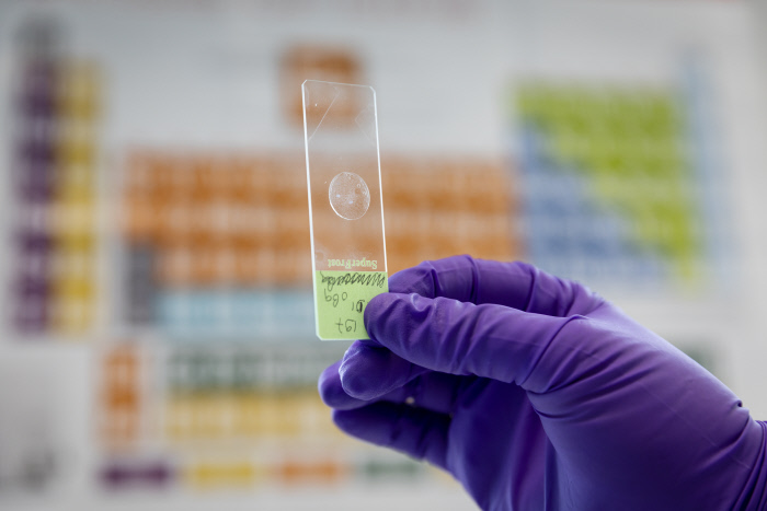 Préparation culture cellulaire.jpg