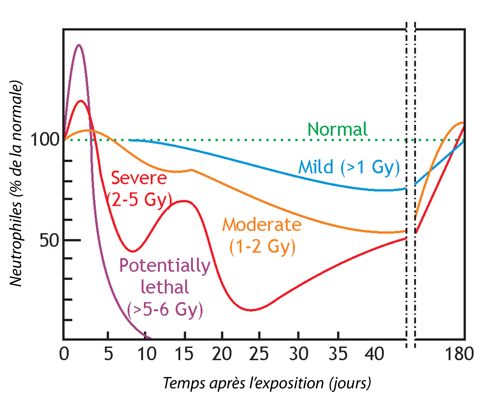 Neutrophile_graph_fr.png