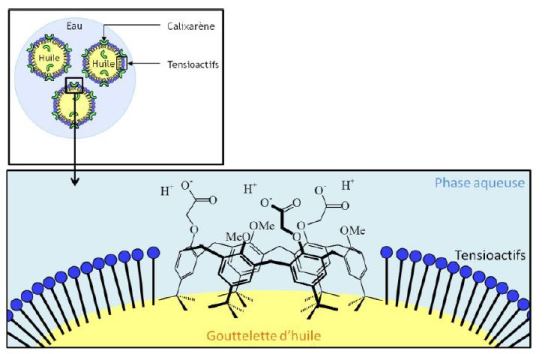 Schema_nanoemulsion.JPG