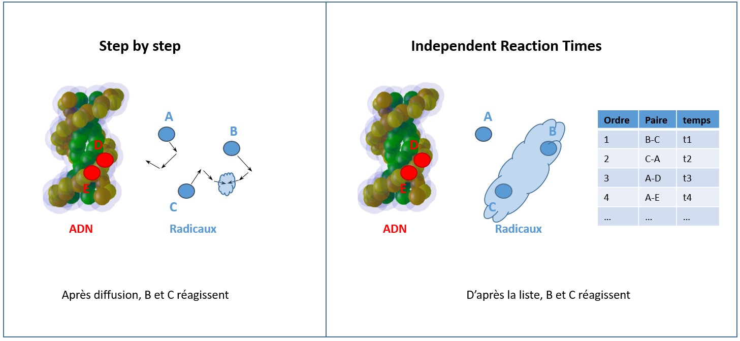 techniques SBS et IRT.jpg