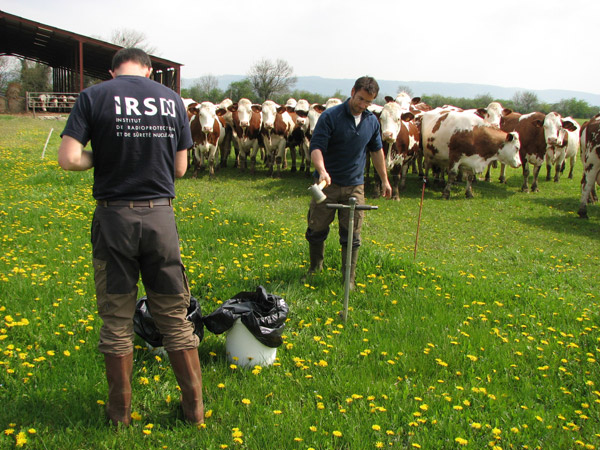 Prélévements de sol dans une prairie