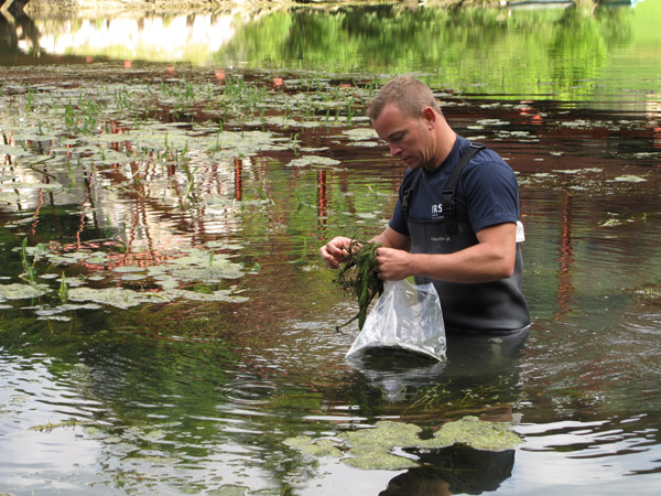 Prélévements de végétaux aquatiques