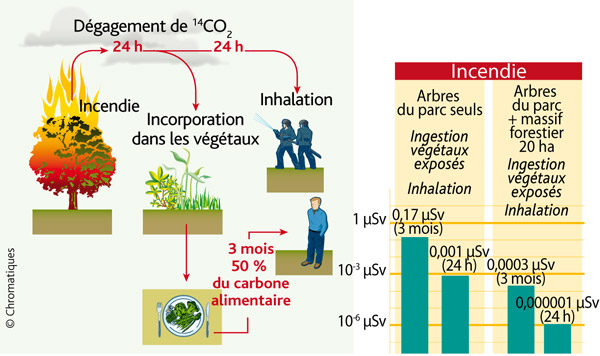 Schéma résumant le scénario étudié et les conséquences dosimétriques (dose efficace à l’adulte) dans le cas d’un incendie.