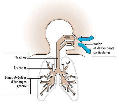 Radon et risque de cancer.©ArtPresse
