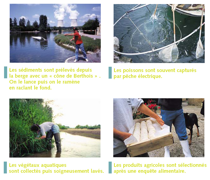 Autour d'une centrale nucléaire 