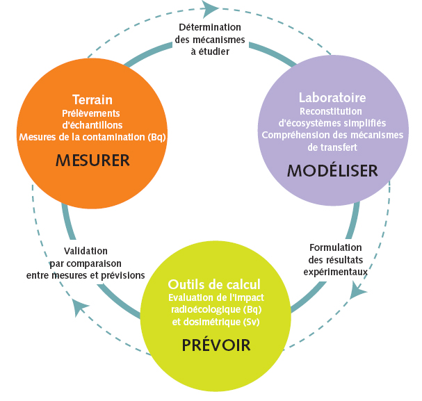 Les outils de radioécologie