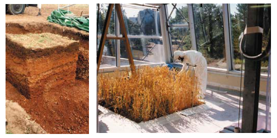 Prélèvement sur le terrain et culture en laboratoire