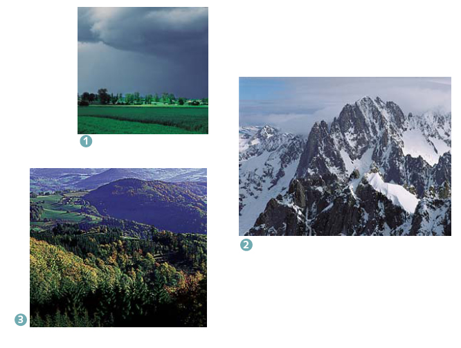 Radioécologie terrestre