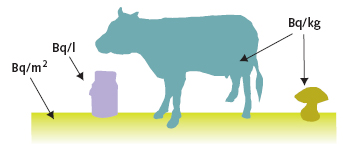 Les rapports d'activité