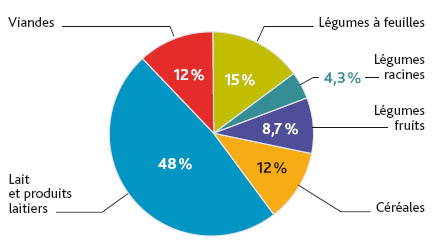 Contribution des denrées alimentaires à la dose à la thyroïde pour un enfant né en 1961.L. Stefano – IRSN