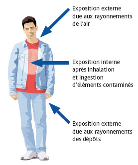 Les voies d'exposition aux rayonnements.L. Stefano – IRSN