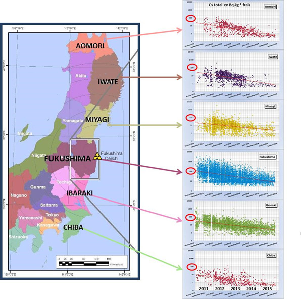 IRSN-Fukushima-2016_Evolution-Poisson-cesium_201603.jpg