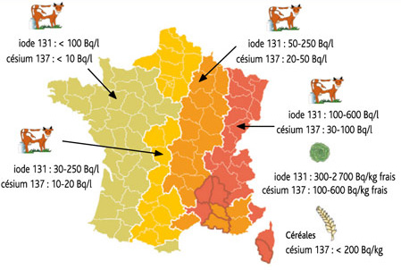 Contamination des denrées alimentaires en césium 137 et en iode 131 au cours de la première quinzaine de mai 1986