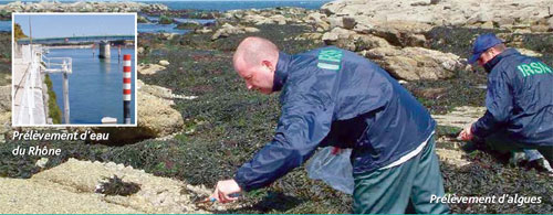 Pr&eacute;l&egrave;vements d'eau et d'algues