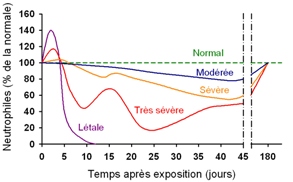 Figure 2 : leucop&eacute;nie