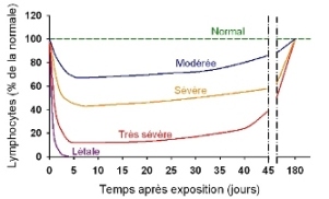 Figure 1 : lymphop&eacute;nie