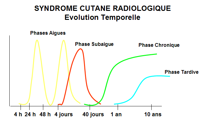 Evolution des l&eacute;sions sur plusieurs semaines &agrave; plusieurs mois.