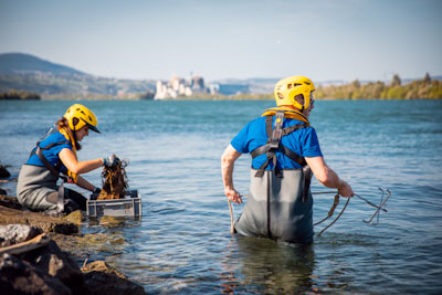 IRSN étude bio indicateurs