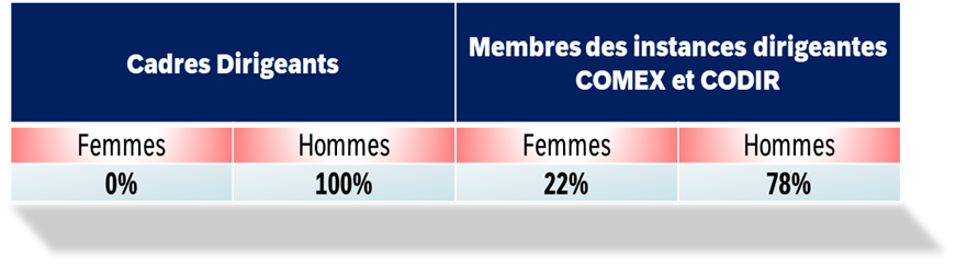 Index egalite hommes femmes 2022.png