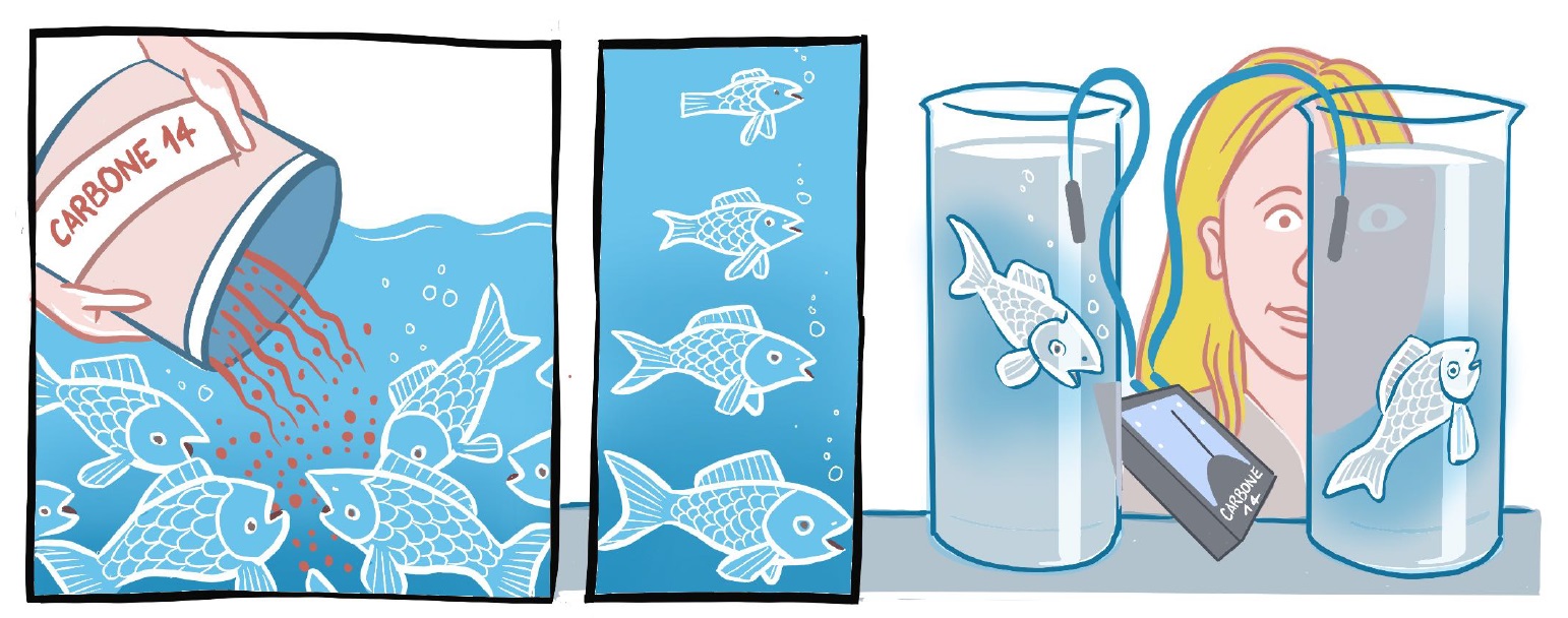 Audrey Souloumiac.jpg