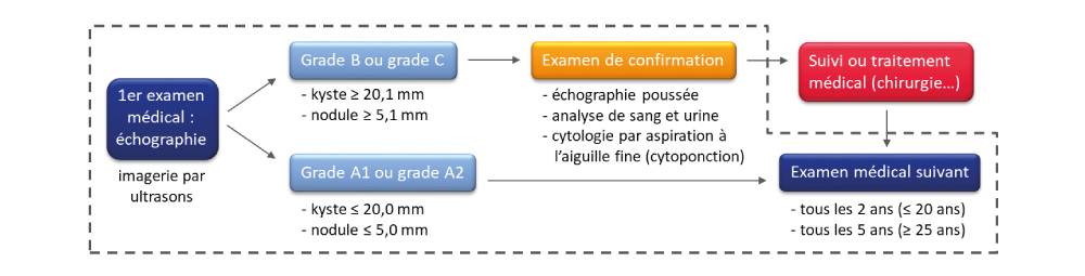 Fukushima-2022-fig4.jpg