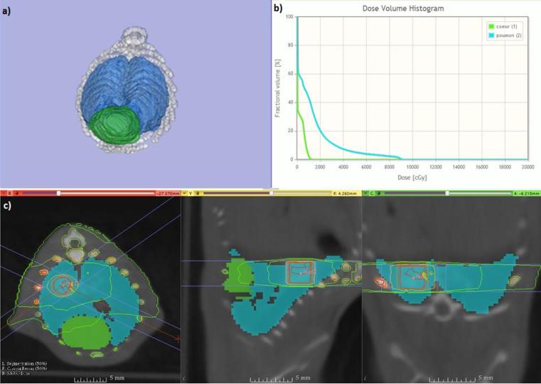 SARRP-Représentation 3D obtenue à la suite du contourage des poumons, du cœur et des os 