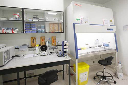 Laboratoire de radiobiologie (c) Francesco Acerbis / Médiathèque IRSN