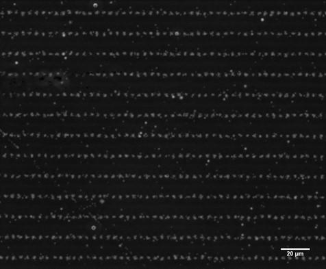 ​Faisceau de protons de 4 MeV sur détecteur de traces. 10±3 ions par point. Pas :​ 5x15 µm