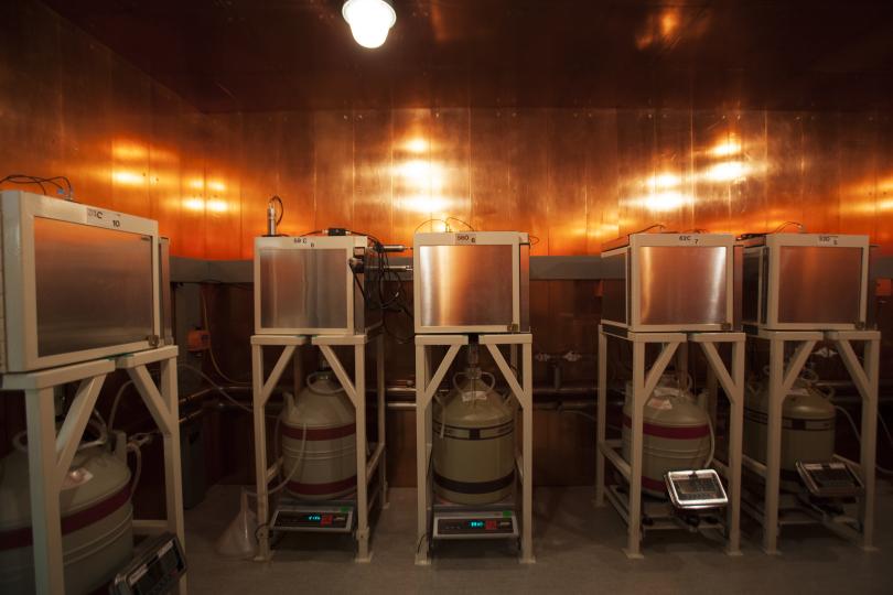 Vue d'ensemble des détecteurs anti-cosmiques © Francesco Acerbis/IRSN