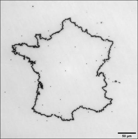 Faisceau de particules alpha de 6 MeV sur détecteur de traces.​