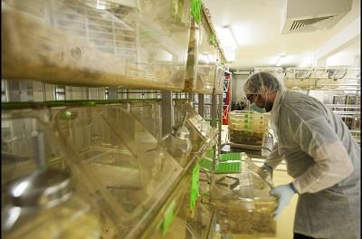 Plateforme PARISII - hébergement animaux - © Francesco Acerbis/IRSN