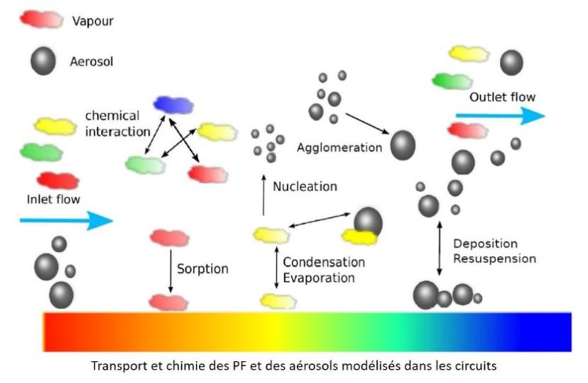 TransportEtChimieDesPF_ASTEC