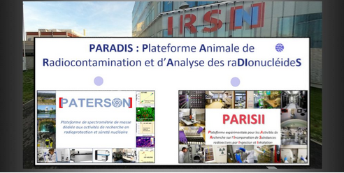 plateforme_paradis_3d_petit_model