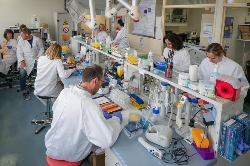 Laboratoire de radiobiologie des expositions accidentelles (LRAcc)