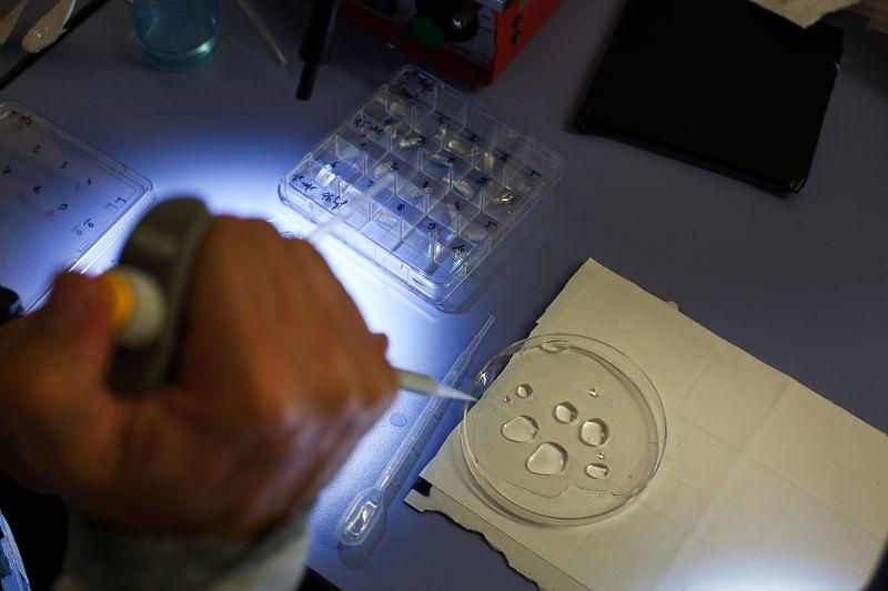  MICADO’Lab : plateforme d’irradiation externe gamma, dédiée à l’étude des effets d’une exposition chronique aux rayonnements ionisants sur les écosystèmes