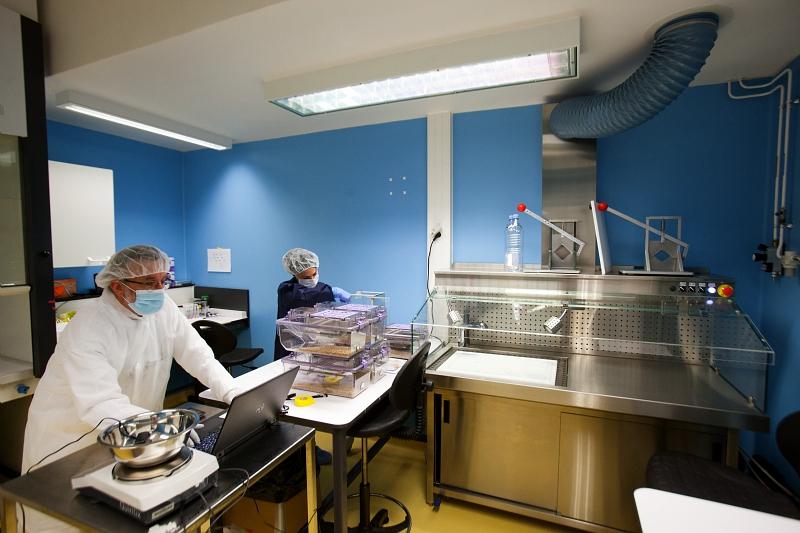 Laboratoire de radiotoxicologie et radiobiologie expérimentale (LRTOX)