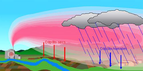faq_surveillance-environnement__panache