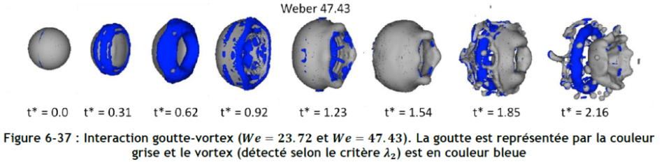 Irsn projet ice  -  simulation code gerris