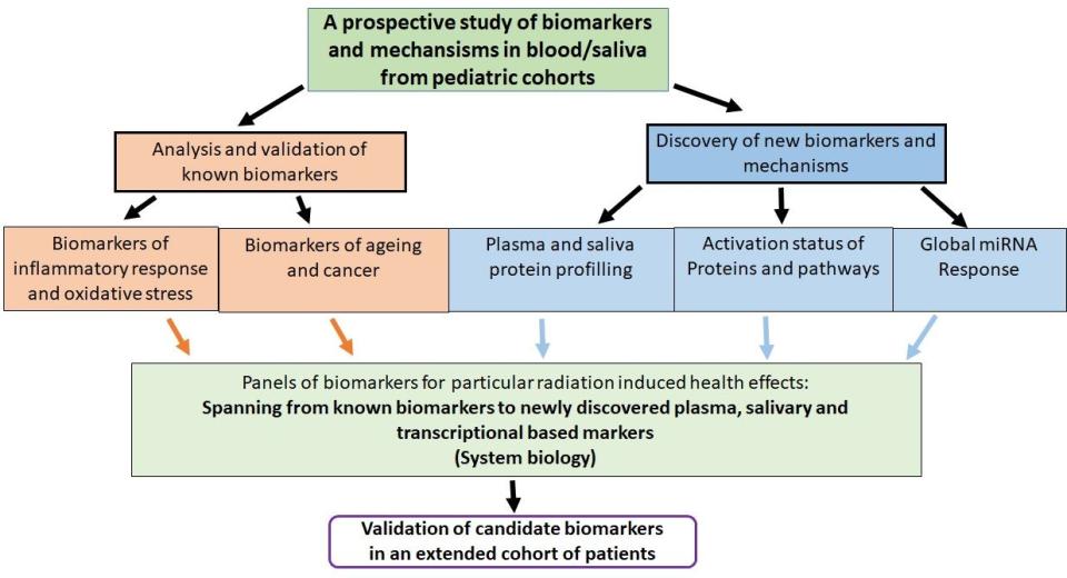 IRSN - Plan d'expérience du WP 5, source : HARMONIC - 
