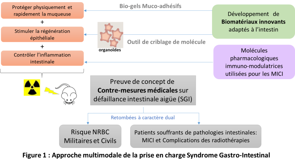 iRSN - Approche multimodale de la prise  en charge Syndrome Gastro-Intestinal
