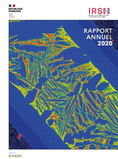 Image du rapport annuel 2020