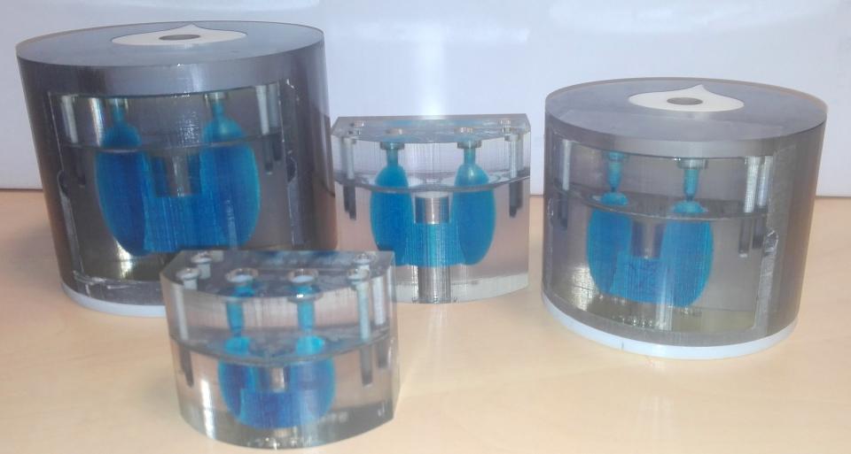 IRSN - Laboratoire LEDI - Jeu de fantômes thyroïdiens FANTHY