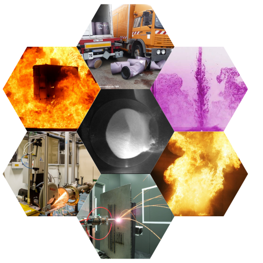 Base de données Badimis