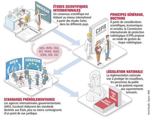Schéma - Comment s'élaborent les règles de radioprotection ?