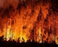 incendie tchernobyl, rapport conséquences radiologiques en France