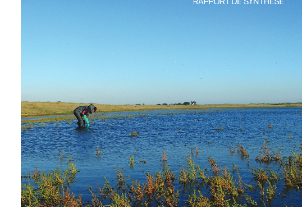 Irsn constat  radiologiques Normandie et hauts de France