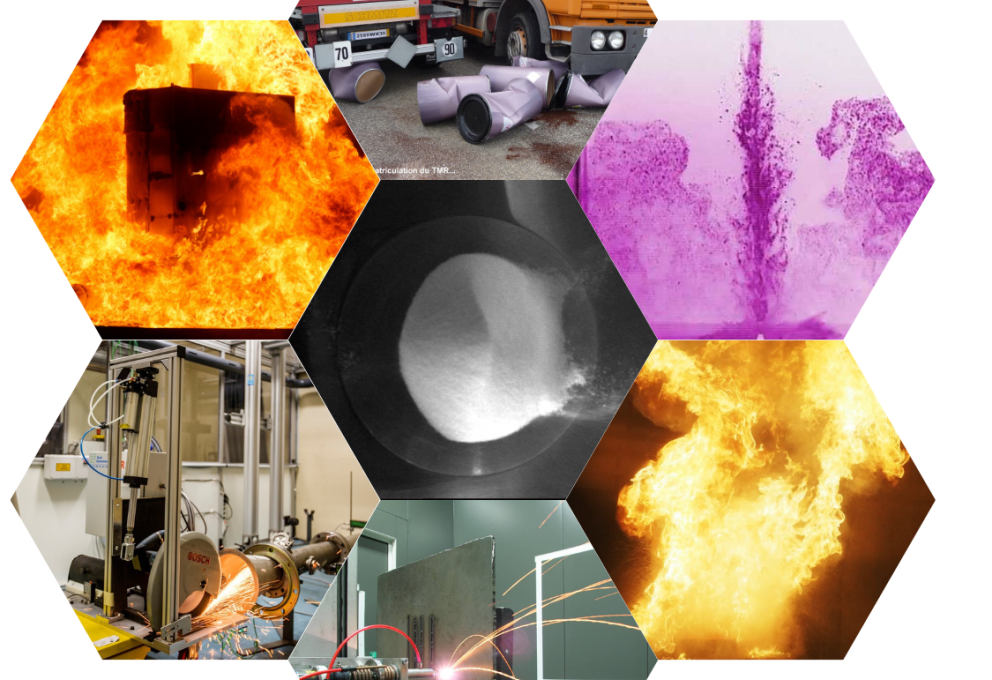 Base de données Badimis