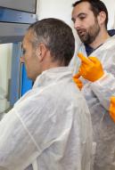 ParisII - Mise en culture de cellules© Francesco Acerbis/IRSN