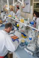 Laboratoire de radiobiologie des expositions accidentelles (LRAcc)